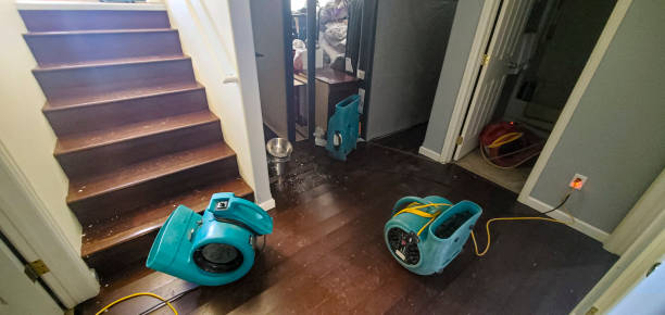Best Residential water damage restoration  in Island Heights, NJ