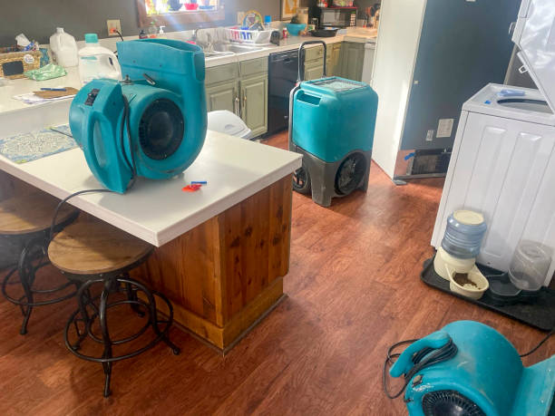 Reliable Island Heights, NJ Water damage restoration Solutions