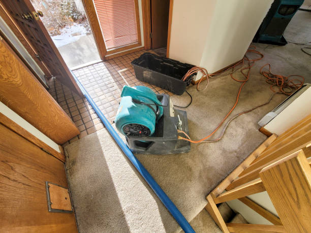 Best Ceiling water damage repair  in Island Heights, NJ