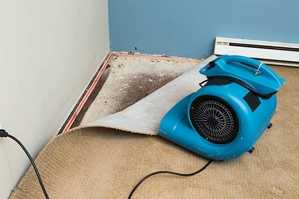 Best Water damage restoration specialists  in Island Heights, NJ